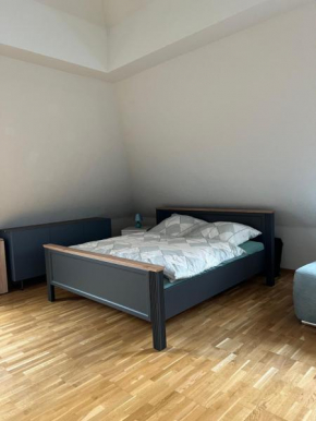 Stillvolle Ferienwohnung in Dresdner Neustadt